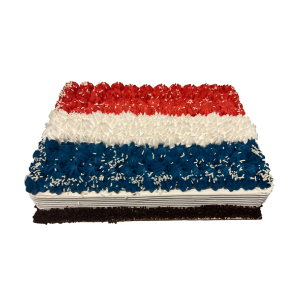 Dutch flag ice cream cake